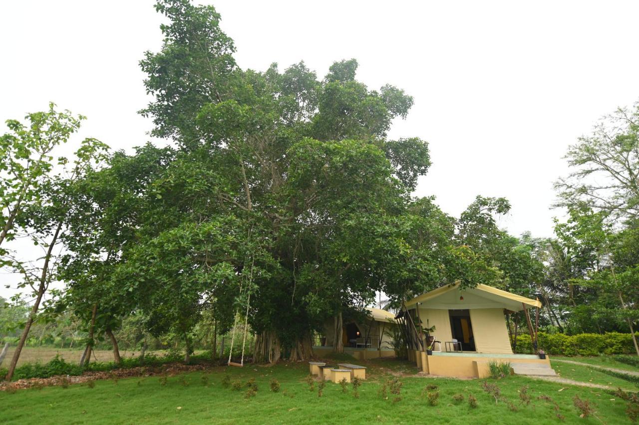 Begūr Fireflies Kabini מראה חיצוני תמונה